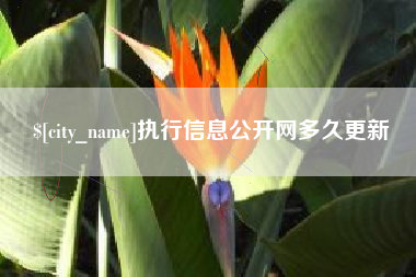 昌乐执行信息公开网多久更新