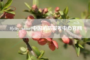 昌乐中国消防报考中心官网