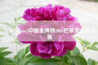 昌乐中国金牌榜2024巴黎奥运会最新