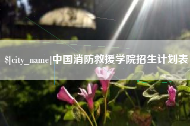 昌乐中国消防救援学院招生计划表