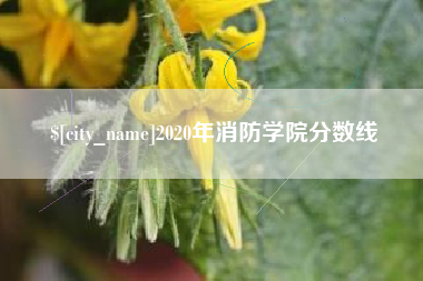 昌乐2020年消防学院分数线