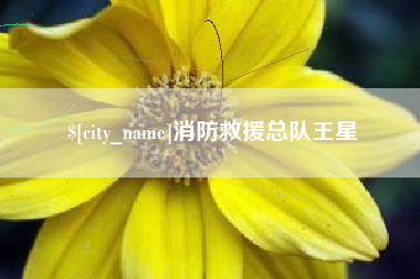 昌乐消防救援总队王星