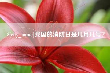 昌乐我国的消防日是几月几号？