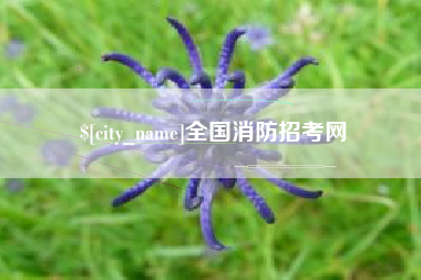 昌乐全国消防招考网
