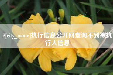 昌乐执行信息公开网查询不到被执行人信息