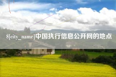 昌乐中国执行信息公开网的地点