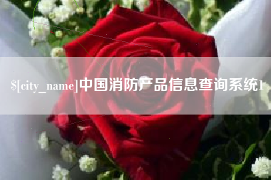 昌乐中国消防产品信息查询系统1