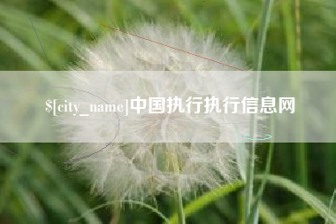 昌乐中国执行执行信息网