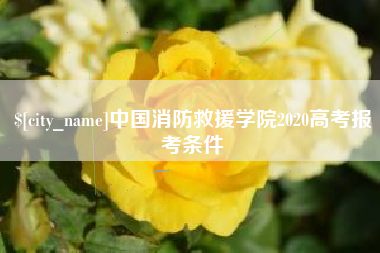昌乐中国消防救援学院2020高考报考条件