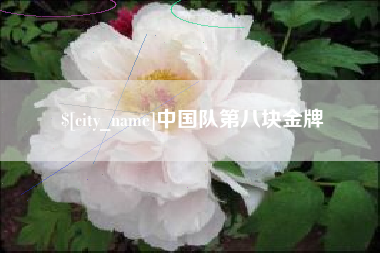 昌乐中国队第八块金牌