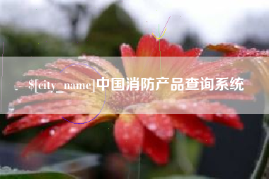昌乐中国消防产品查询系统