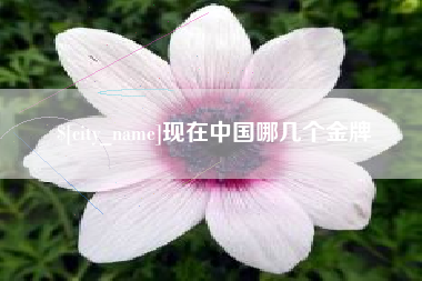 昌乐现在中国哪几个金牌