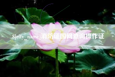昌乐消防证国网查询操作证