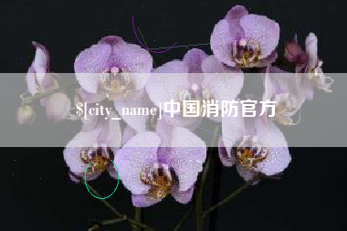 昌乐中国消防官方