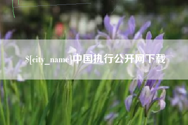 昌乐中国执行公开网下载
