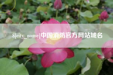 昌乐中国消防官方网站域名