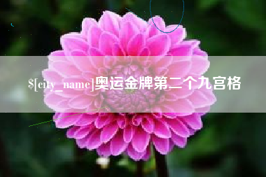 昌乐奥运金牌第二个九宫格