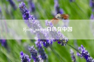 昌乐白色在中国