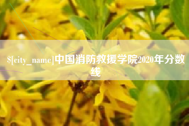 昌乐中国消防救援学院2020年分数线