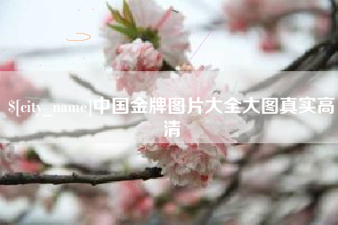 昌乐中国金牌图片大全大图真实高清