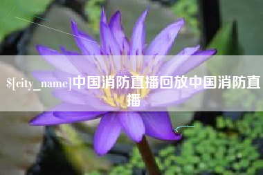 昌乐中国消防直播回放中国消防直播