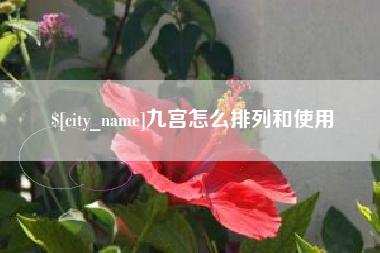 昌乐九宫怎么排列和使用