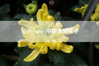 昌乐中国金牌样子