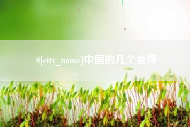 昌乐中国的几个金牌