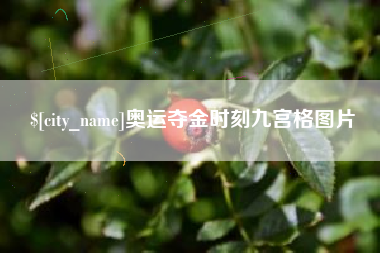 昌乐奥运夺金时刻九宫格图片