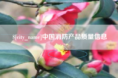 昌乐中国消防产品质量信息