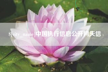 昌乐中国执行信息公开网失信