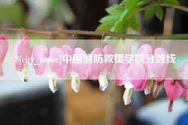 昌乐中国消防救援学院分数线