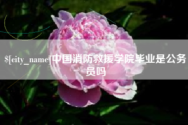 昌乐中国消防救援学院毕业是公务员吗