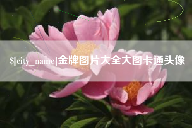 昌乐金牌图片大全大图卡通头像