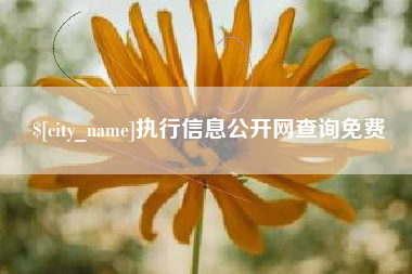 昌乐执行信息公开网查询免费