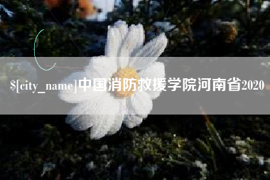 昌乐中国消防救援学院河南省2020
